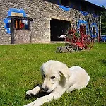 Antaviana Cantabria Apartment