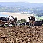 Apartment Antaviana Cantabria