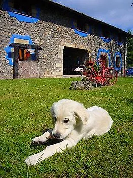 Antaviana Cantabria דירה