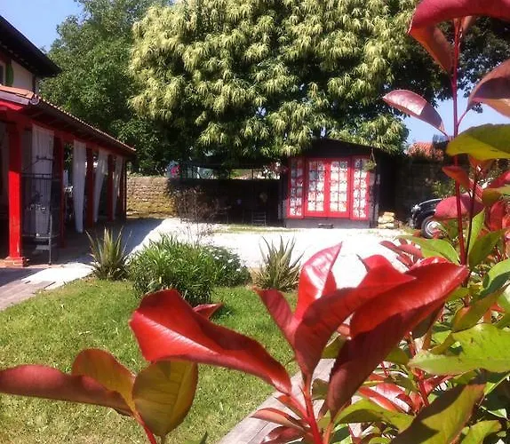 Antaviana Cantabria דירה *