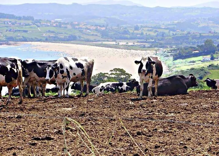 Apartament Antaviana Cantabria